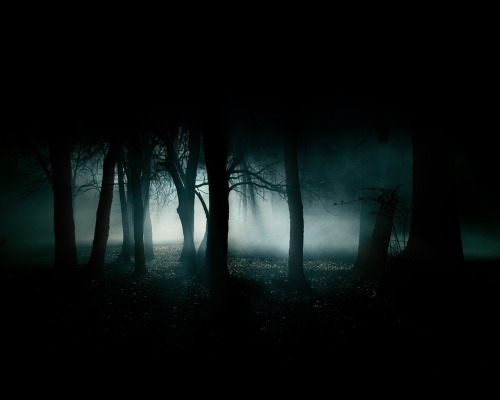 Тёмный лес Tumblr_kojmoi1mQs1qzer51o1_500